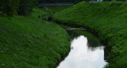 Park